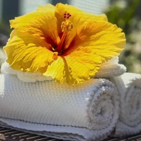 Duplex 5 Apartamento